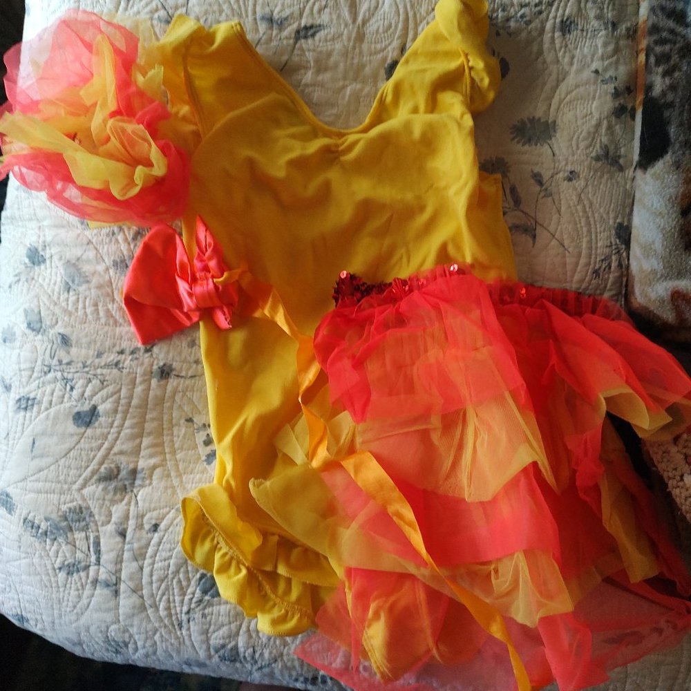 Kids conga costume